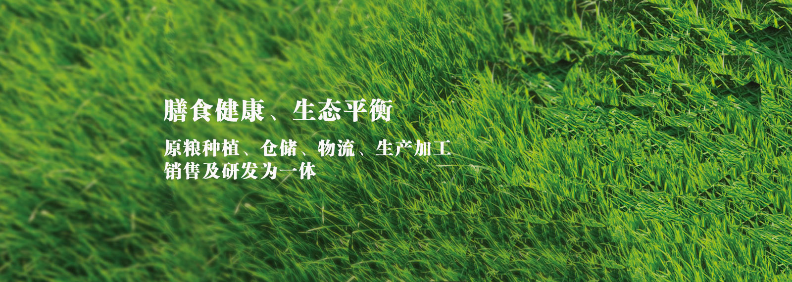 url(http://www_lncyhx_com.realwood-creations.com/style/banner1.jpg)